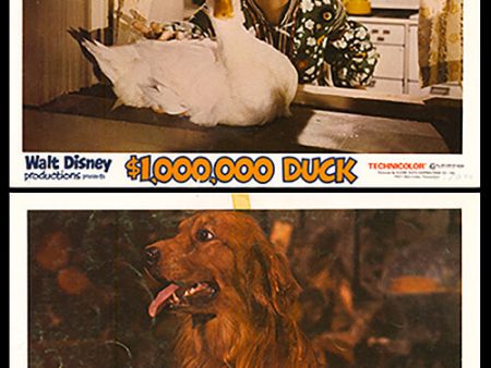 $1,000,000 Duck Hot on Sale