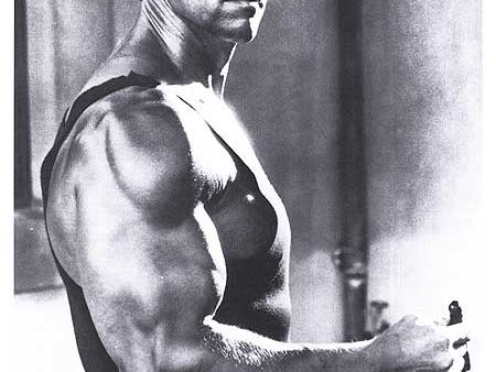 Schwarzenegger, Arnold Online