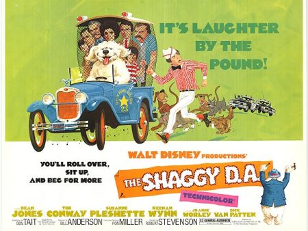 Shaggy D.A. Sale