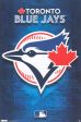 Toronto Blue Jays Fashion