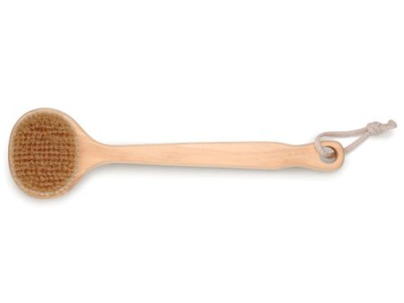 BAUDELAIRE - Cedar 13  Bath Brush - 1 Brush For Cheap